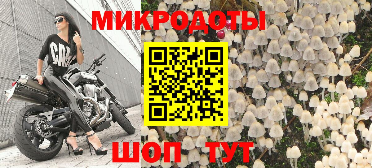 Псилоцибиновые грибы Cubensis  Псилоцибиновые грибы MAGIC MUSHROOMS  магазин  наркотиков  Вход с VPN  Хасавюрт 
